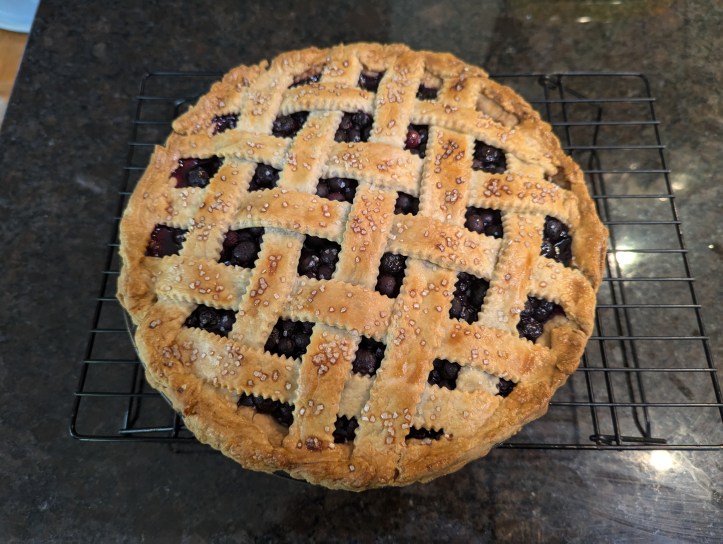 Blueberry pie with lattice crust