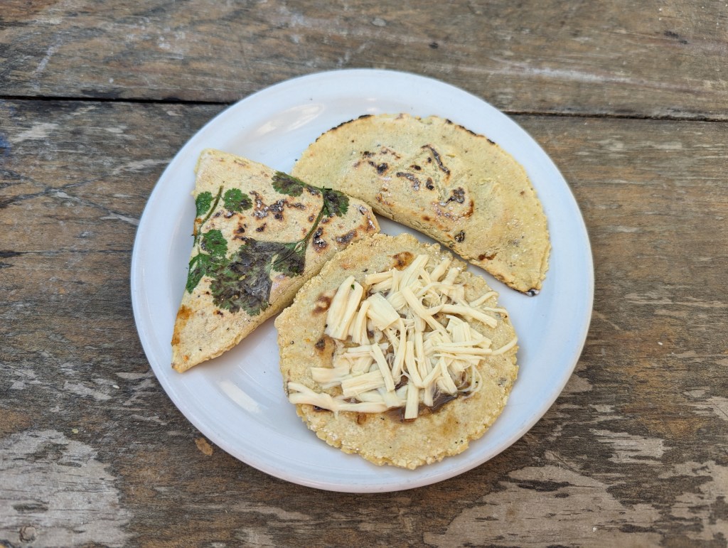 Three types of tortilla-based food: one open-faced, one folded into a triangle and pressed with cilantro, and one folded and sealed.