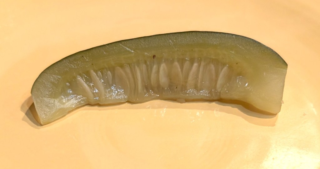 A single pickle spear on a plate