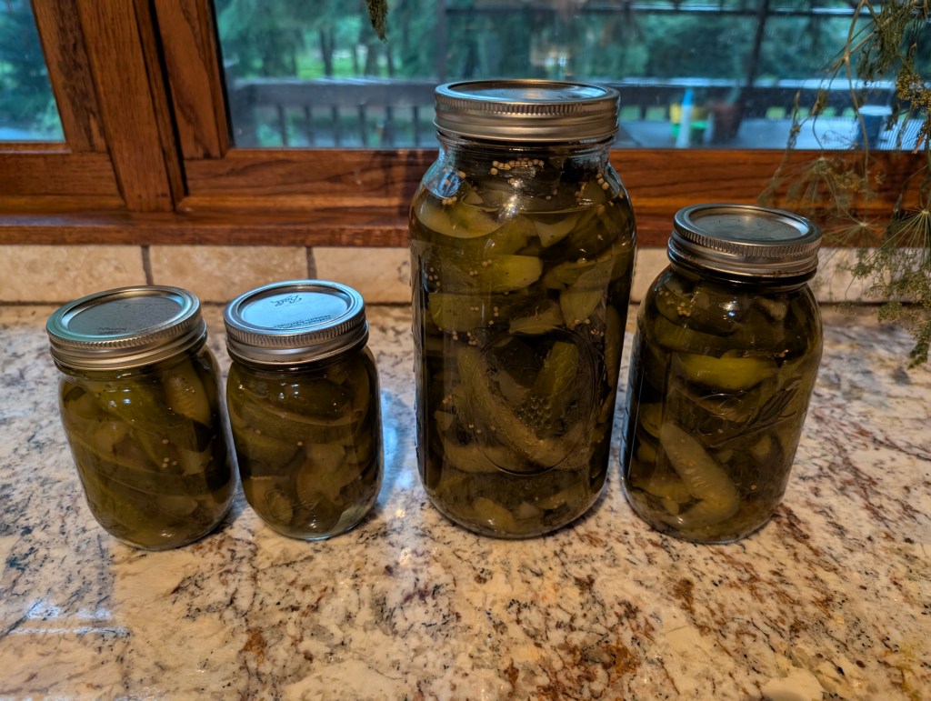 Pickles in jars after the canning process