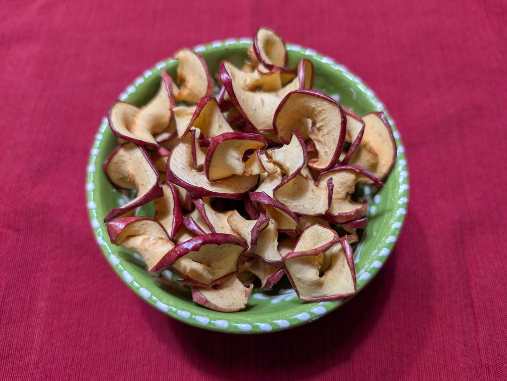 Dried apple slices in a small bowl